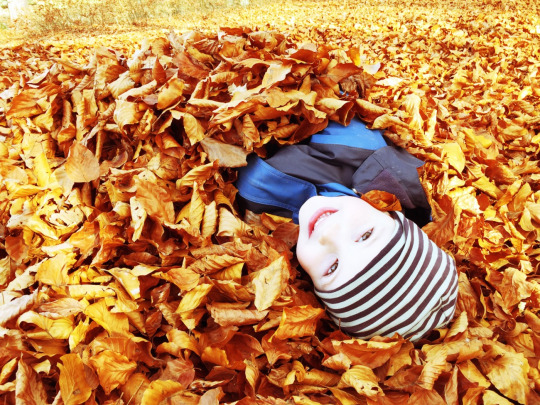 Den goldenen Herbst noch genießen…