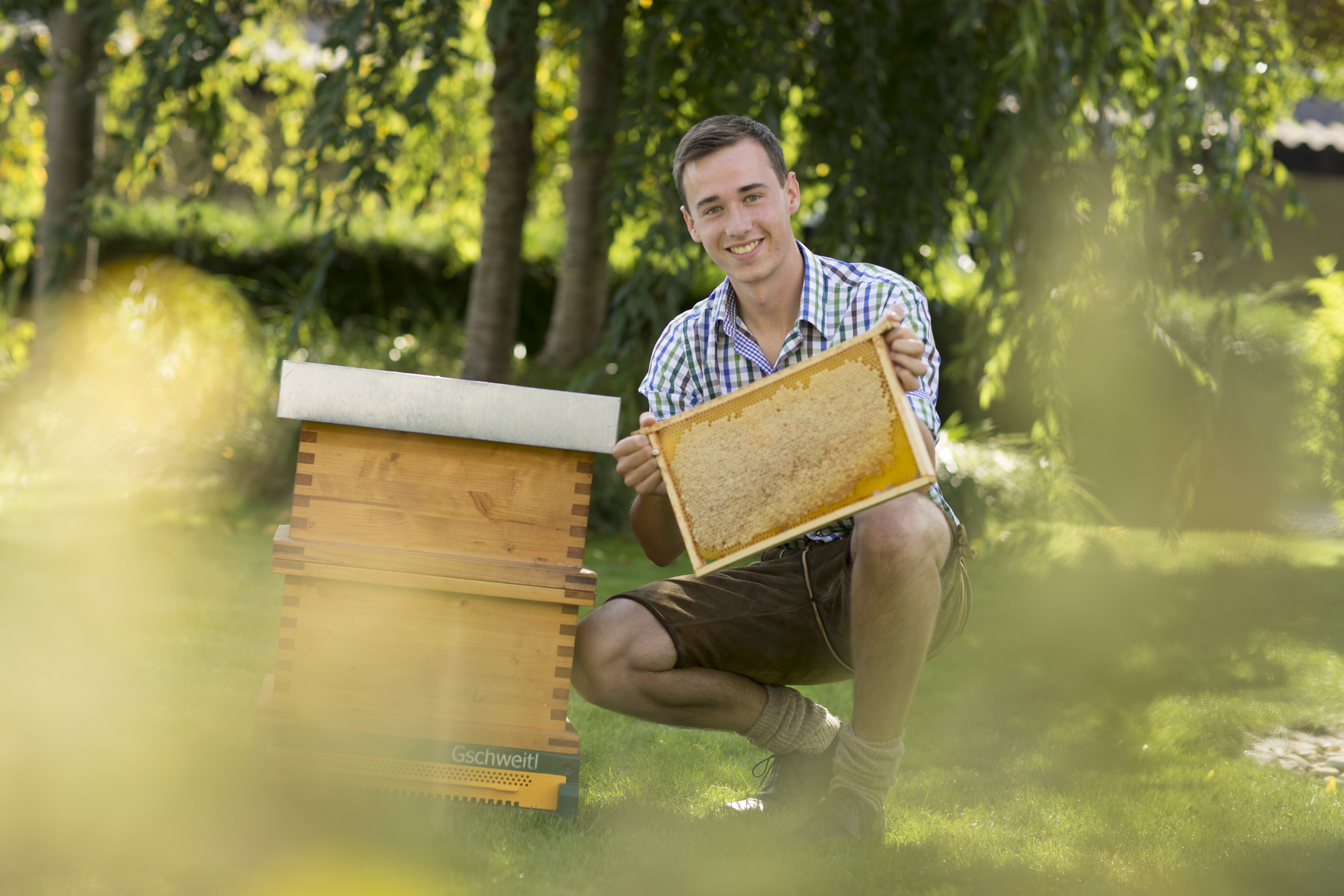 Der Bienenkönig aus Prebuch: Martin Gschweitl ist der jüngste „Imker des Jahres“