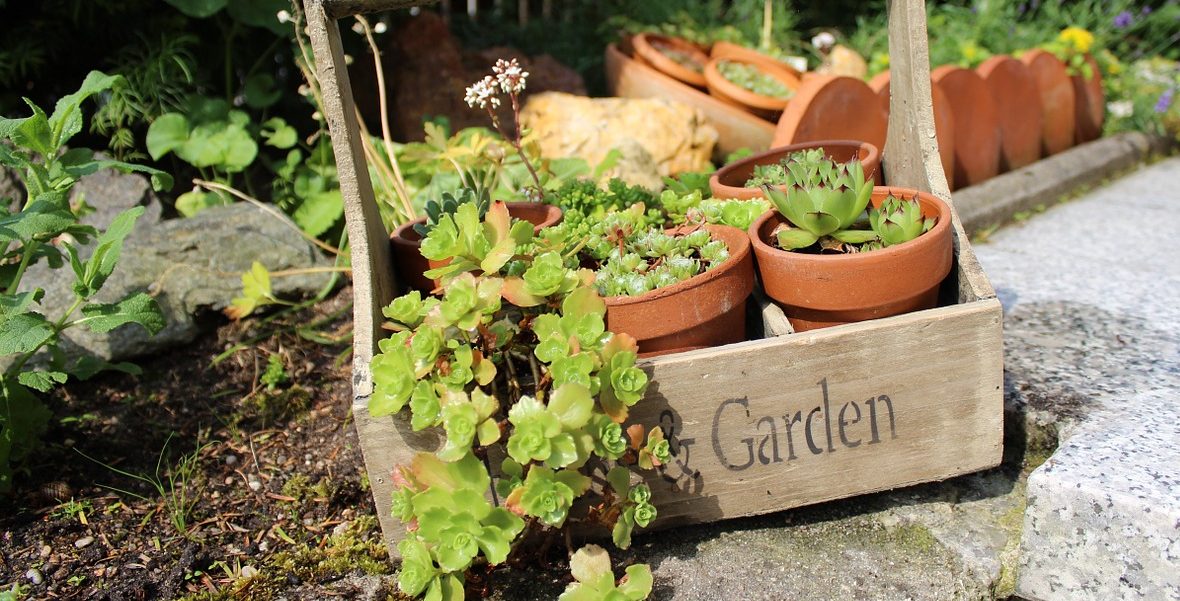 Gartendeko und Blumen „im Vorbeifahren“ geklaut – wer tut so etwas?