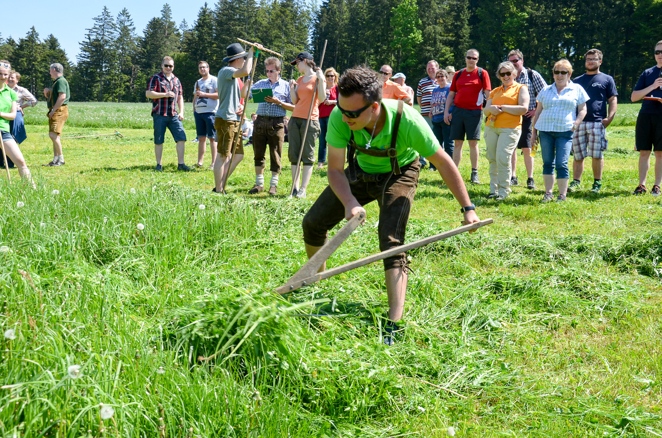 Hier sind die Bilder vom Sensenmähwettbewerb der Landjugend Bezirk Weiz