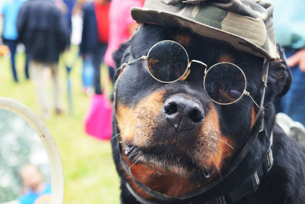 Steampunk auf Steirisch beim Bulldogwirt: Zu Besuch beim abgefahrensten Flohmarkt der Oststeiermark