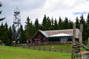 wildwiesenhütte