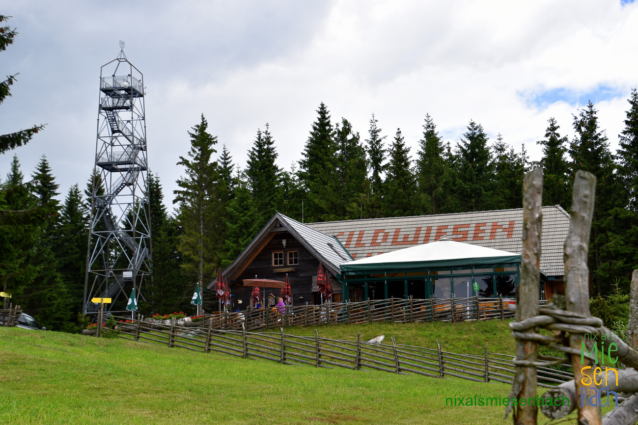 Wandertipp: Von Miesenbach zur Wildwiesenhütte – eine anspruchsvolle Tour für Genießer