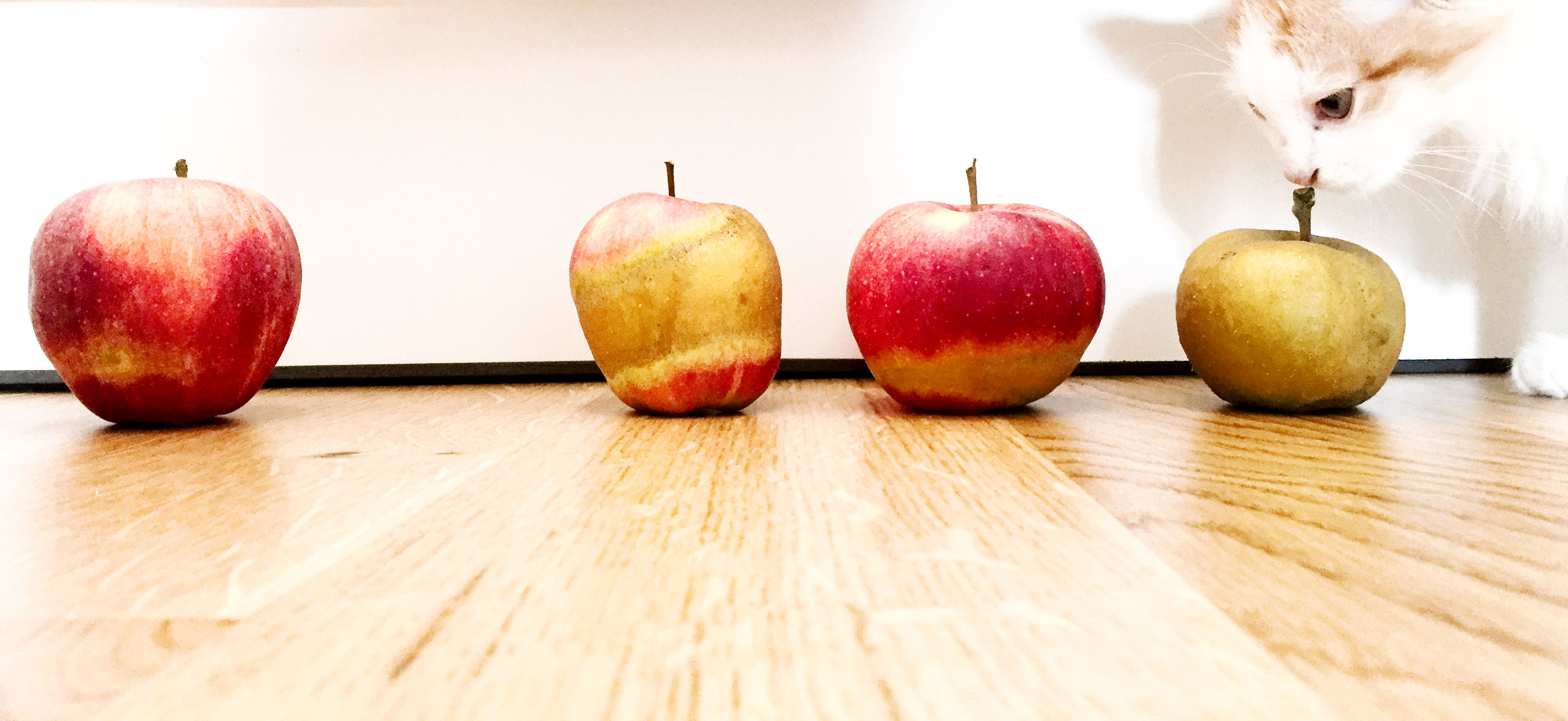 #vawoadaglt: Diese Äpfel sind nicht für die Katz! WOS unterstützt heimische Obstbauern