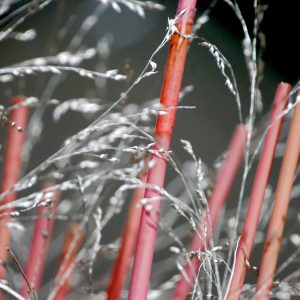 weihnachtsdeko trends 2016 rosa rose altrosa kupfer silber