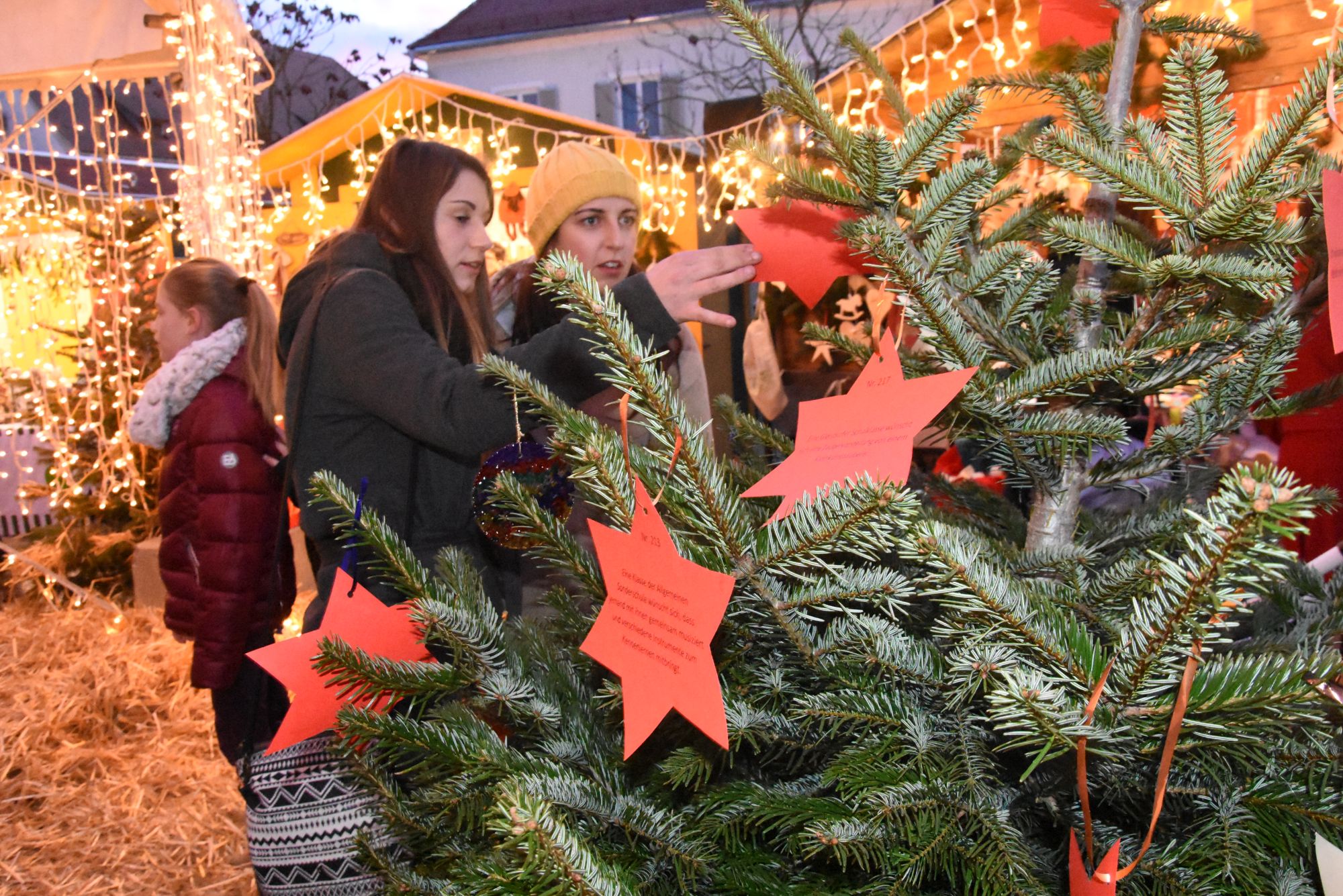 weihnachtswunschbaum