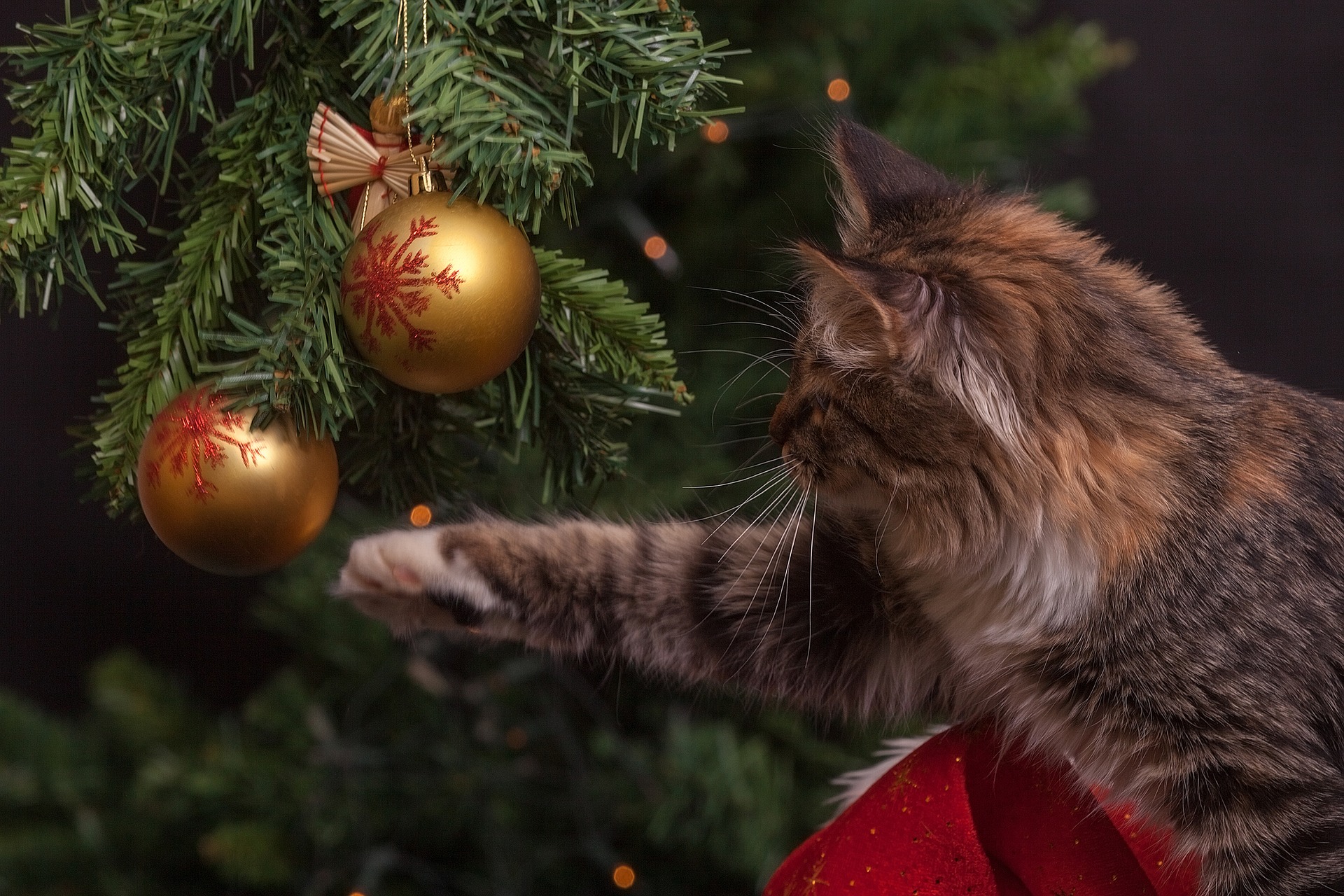 Dachhase mit Lebkuchenfüllung – eine ganz besonders böse Weihnachtsgeschichte ;-)